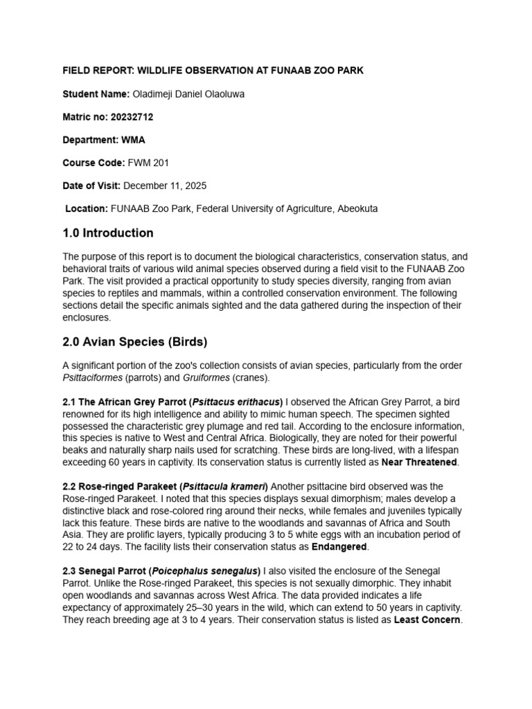 Oladimeji Daniel Zoo Report | PDF | Parrot | Birds