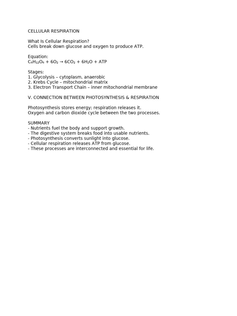 Handout Cellular Respiration 1 | PDF