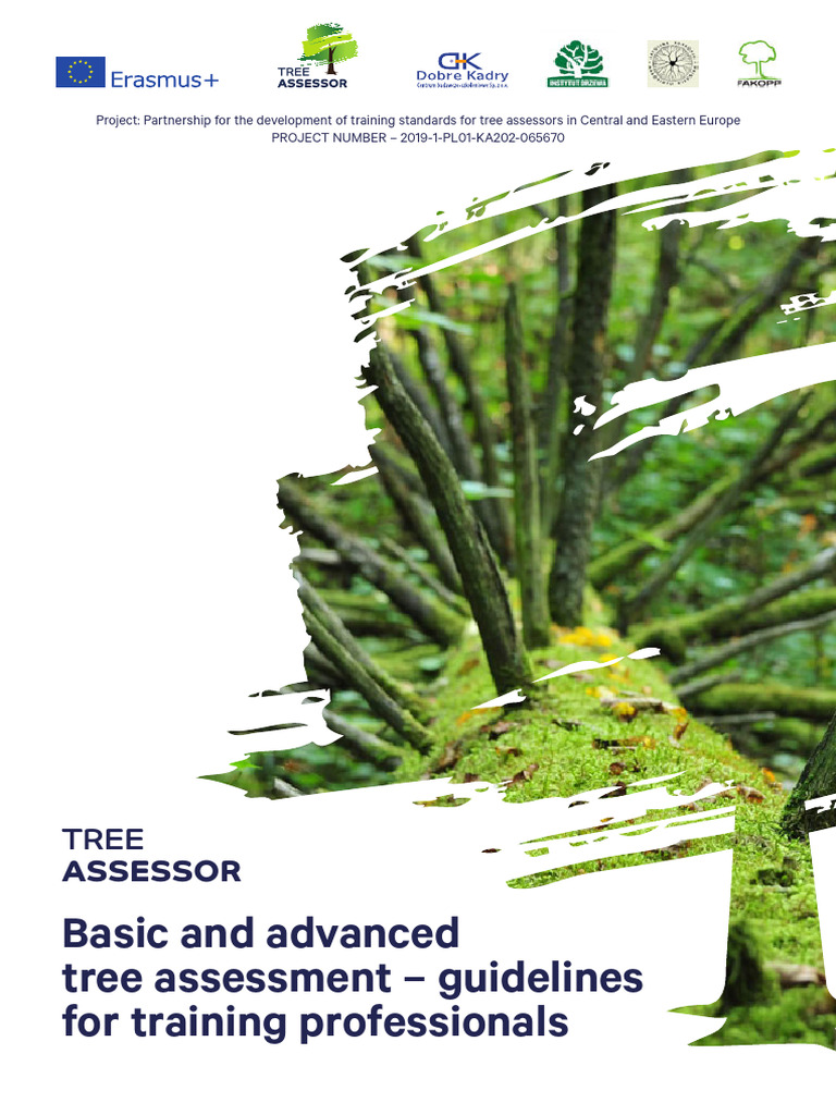 Basic and Advanced Tree Assessment | PDF | Vocational Education ...
