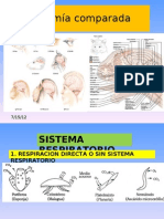 Anatomia Comparada 2012