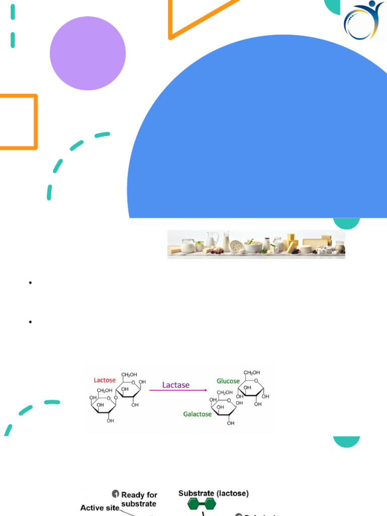 GIT Lactose Intolerance Ash 2025 | PDF | Biology | Genetics