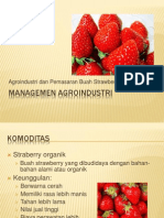 Managemen Agroindustri