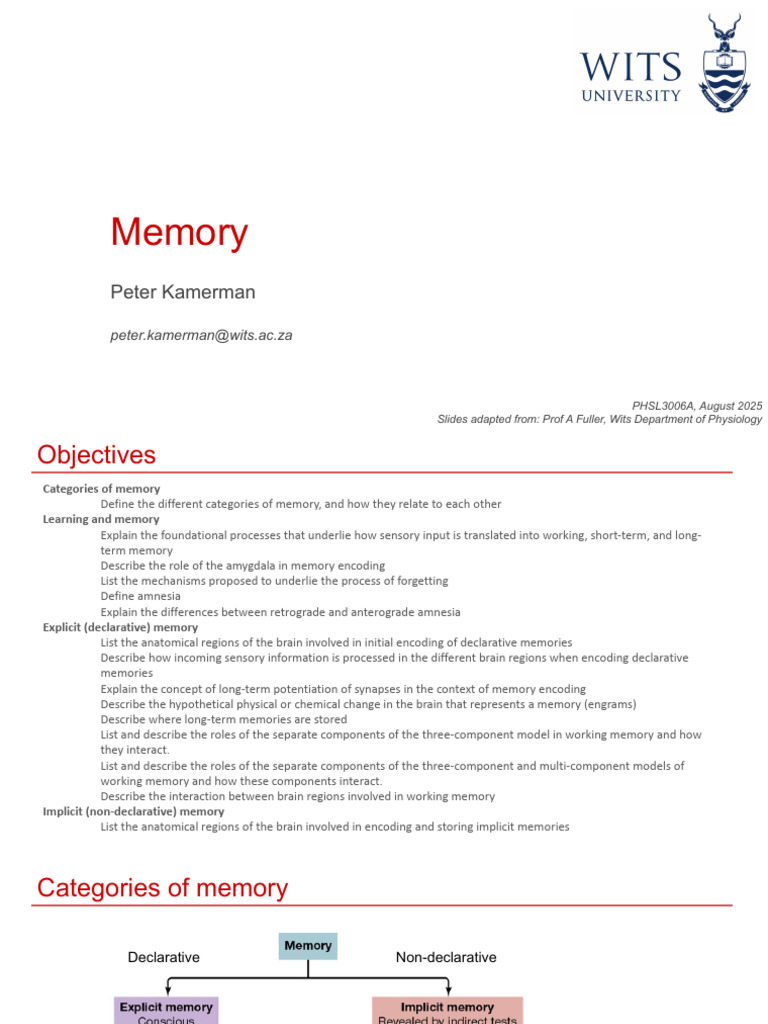 Lecture Memory | PDF | Memory | Temporal Lobe