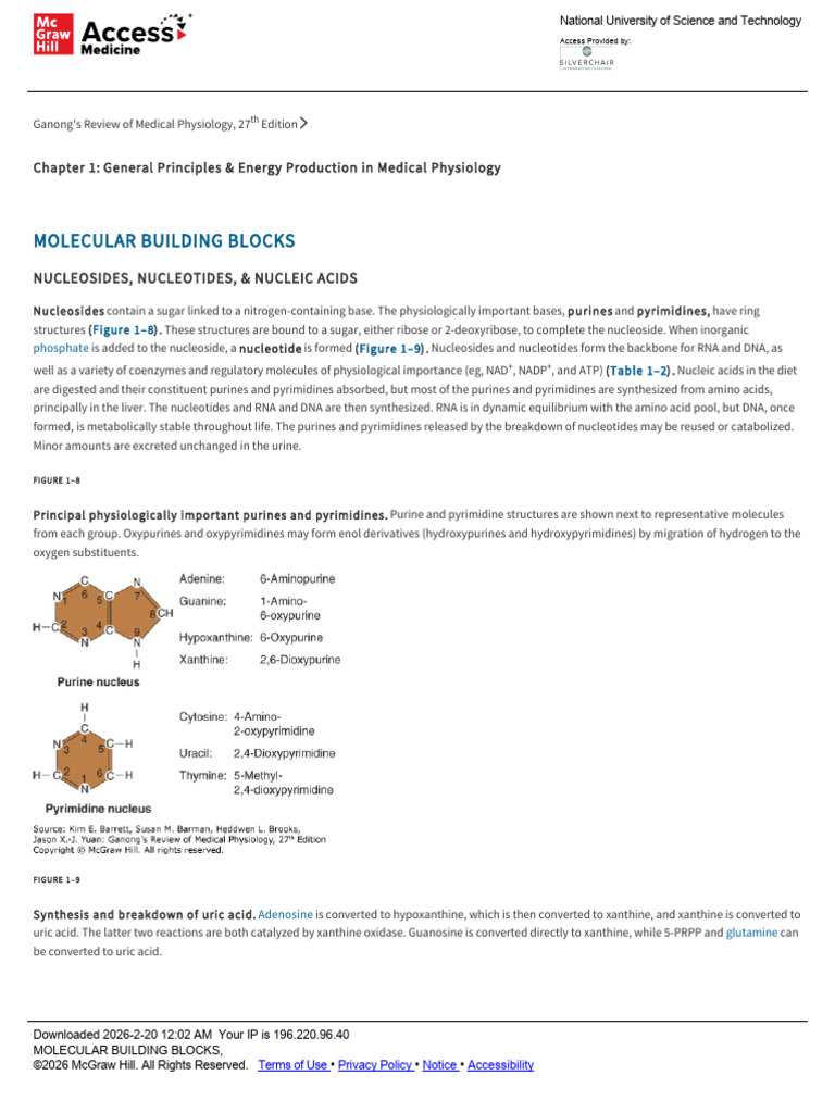 Molecular Building Blocks | PDF | Nucleotides | Gene