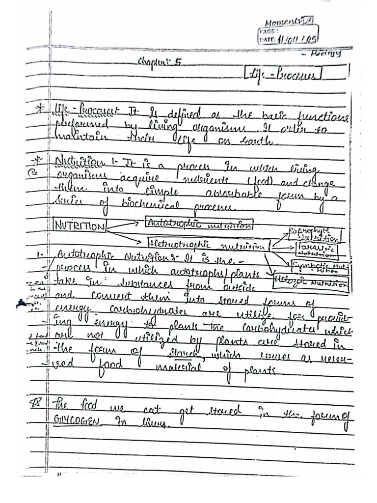 Science Chapter 5 Life Processes Notes Class 10 | PDF