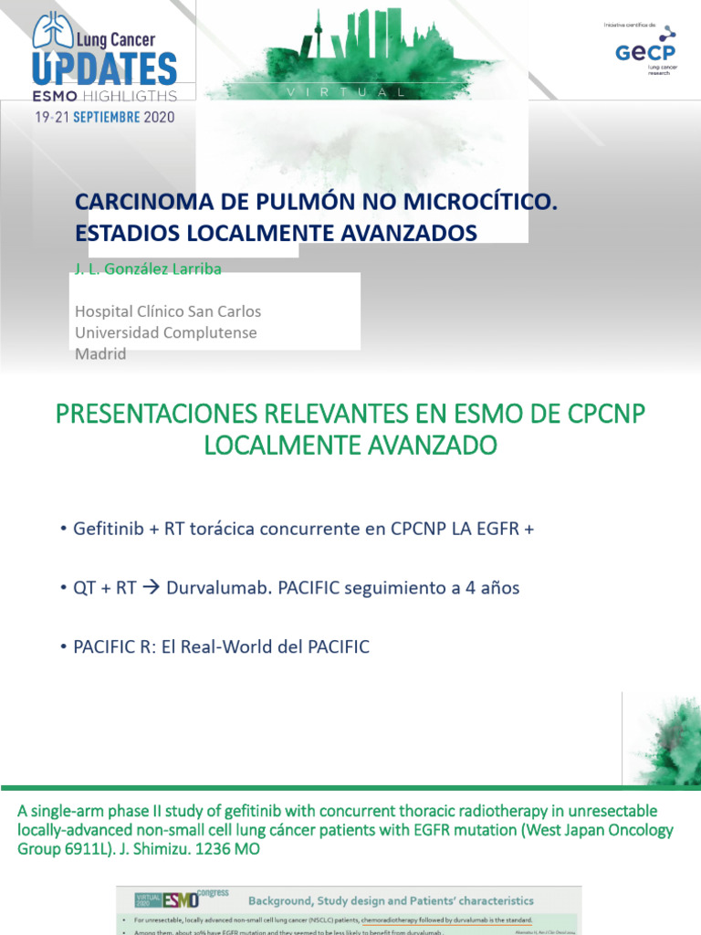 Non-Small Cell Lung Cancer | PDF