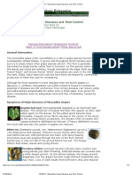 Muscadine Grape Diseases and Their Control