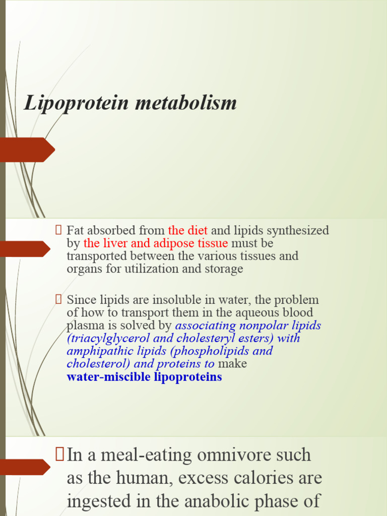 Lipoprotein Metabolism | PDF | Lipoprotein | Cholesterol