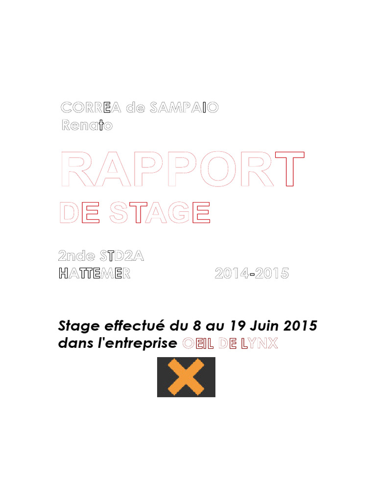 Rapport Exemple Imprimerie Sérigraphie Renato-STD2A | PDF | Encre | Papier