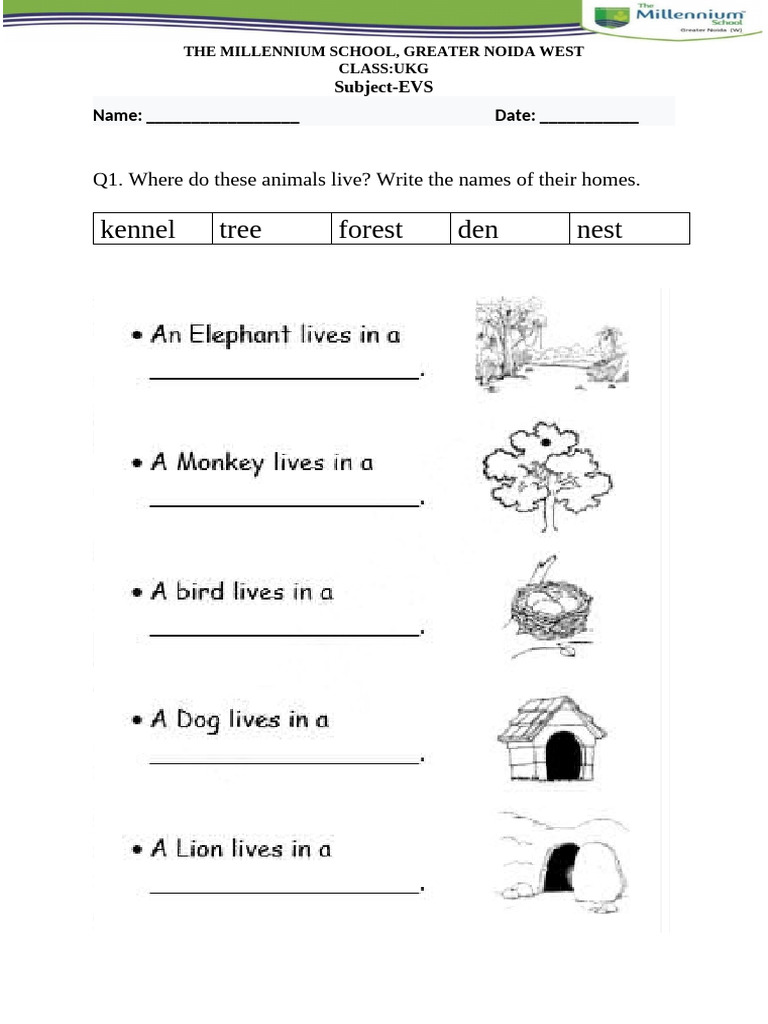 EVS Worksheet1 | PDF