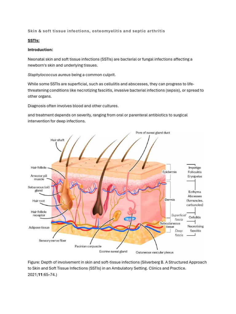 4 SSTI Osteomyelitis Septic Arthritis Neonates | PDF | Sepsis | Infection