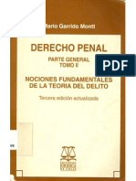 Mario Garrido Montt - Derecho Penal Tomo II