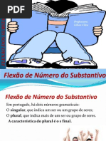 Flexão de Número do Substantivo