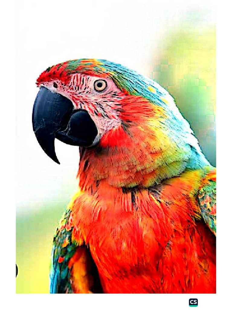 Nature | PDF