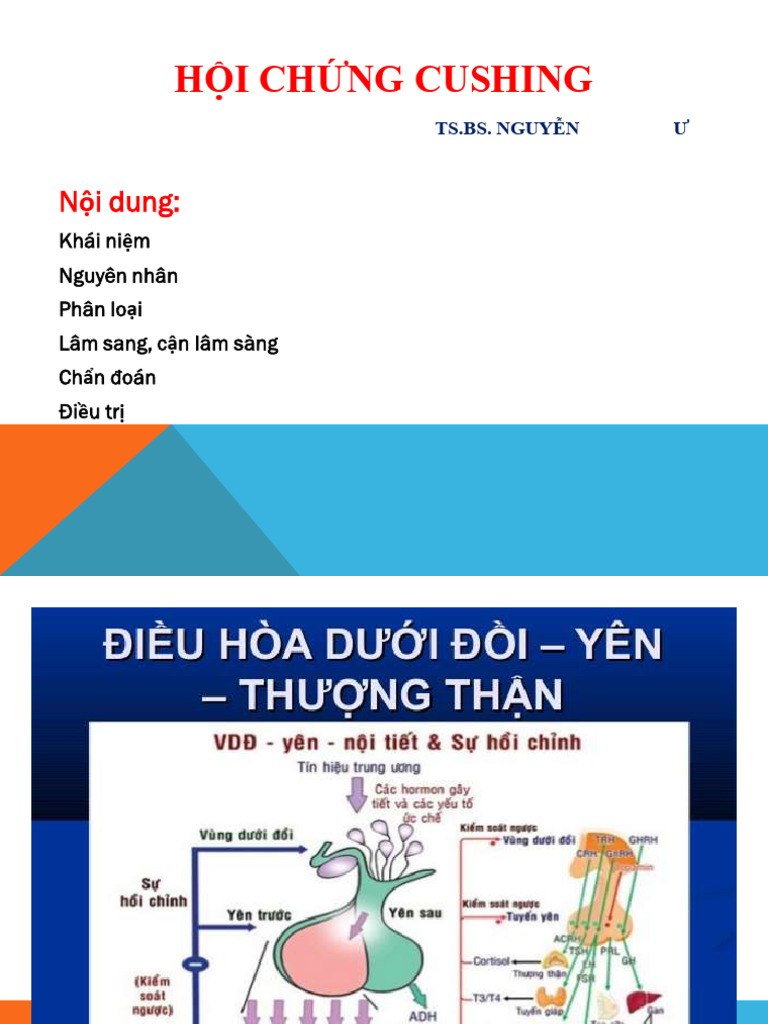H I CH NG Cushing | PDF