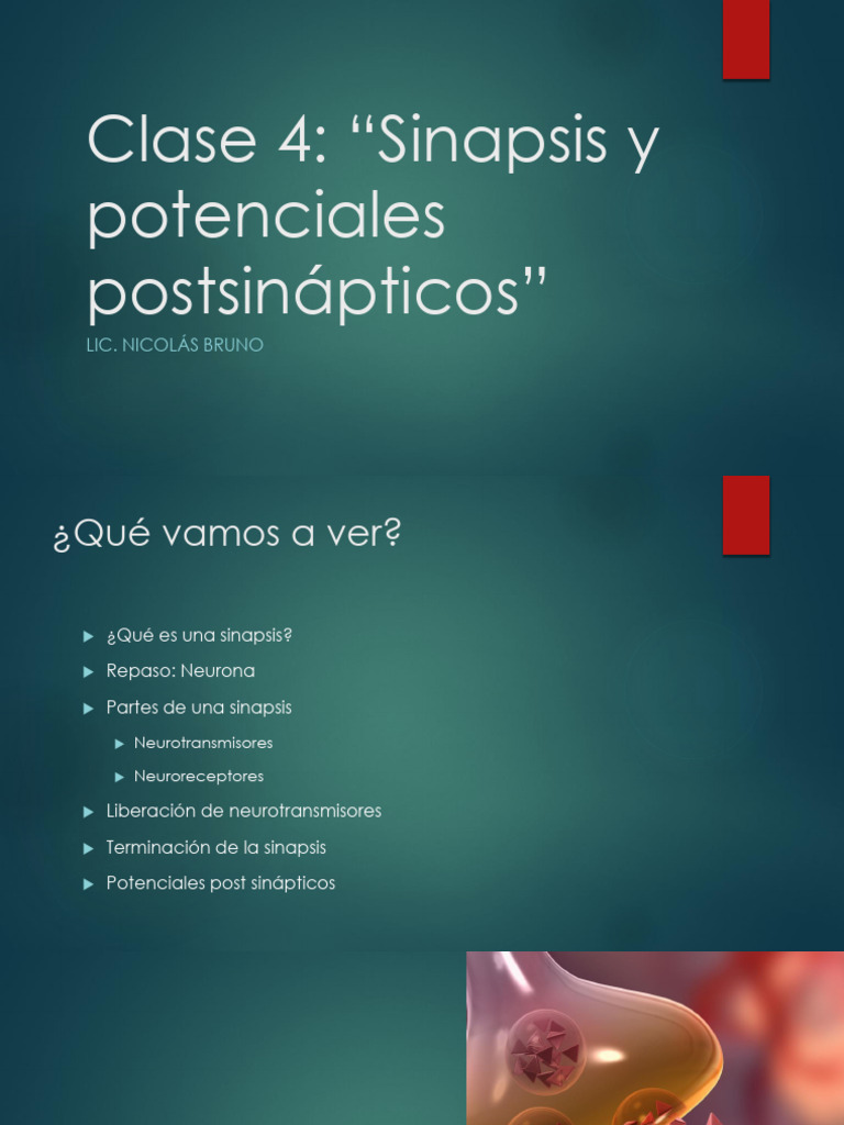 Clase 4 - Transmisión Sináptica | PDF