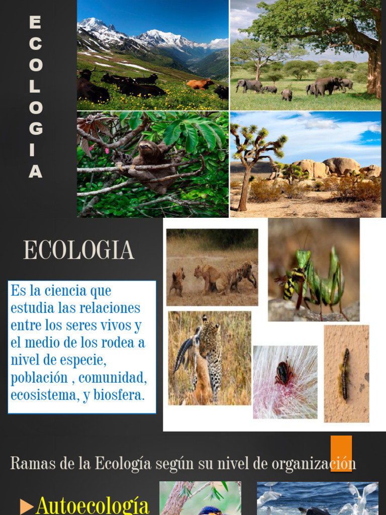 Ecologia Ambiental | PDF | Ecología | Ecosistema