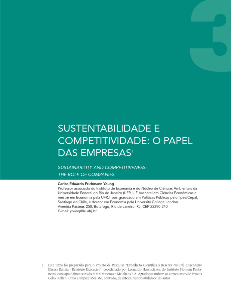 Sustentabilidade e Competitividade - O Papel Das Empresas - Revista de ...