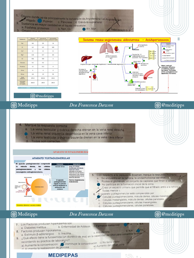 Susti Resuelto Excretor 2025 | PDF
