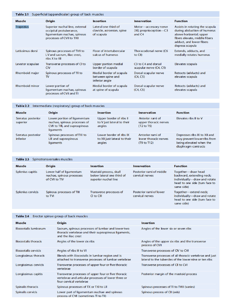 Back Muscles - Table 2 | PDF