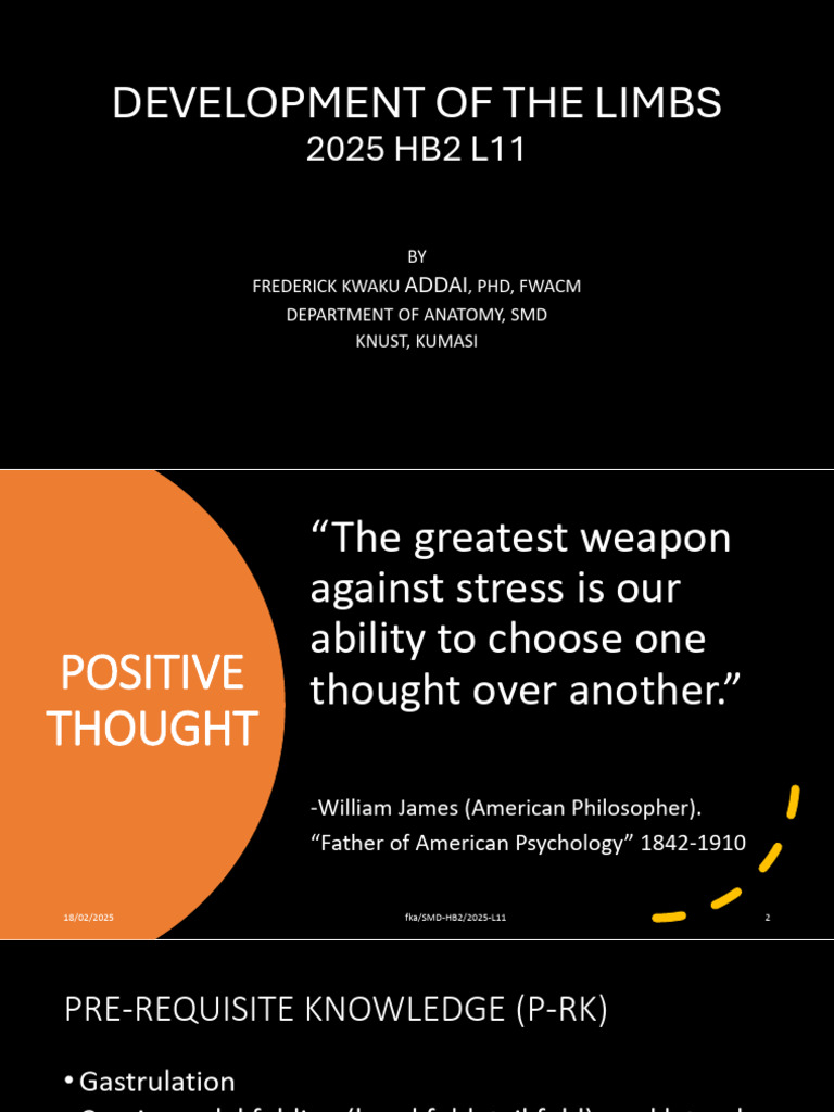 2025 Hb2 l11 Development of The Limbs | PDF | Developmental Biology ...