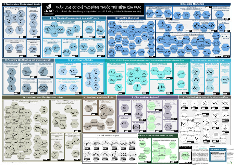 VIE Frac Moa Poster 2021 | PDF