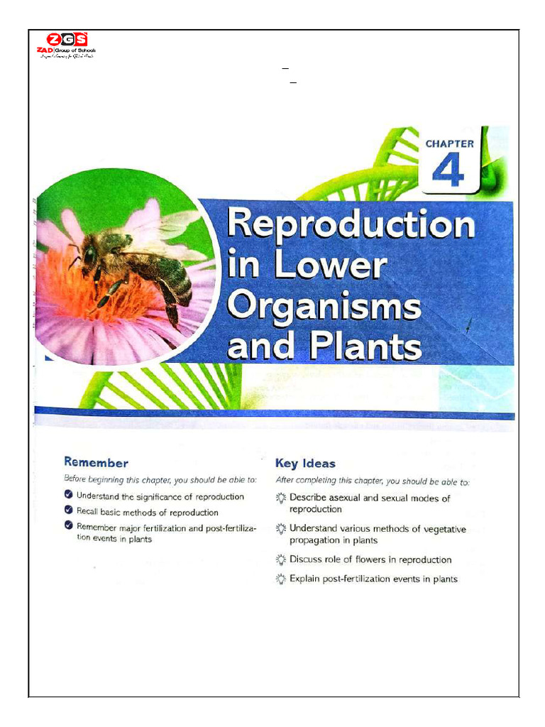 Class 10th Chapter 4 Reproduction in Lower Organisms and Plants | PDF