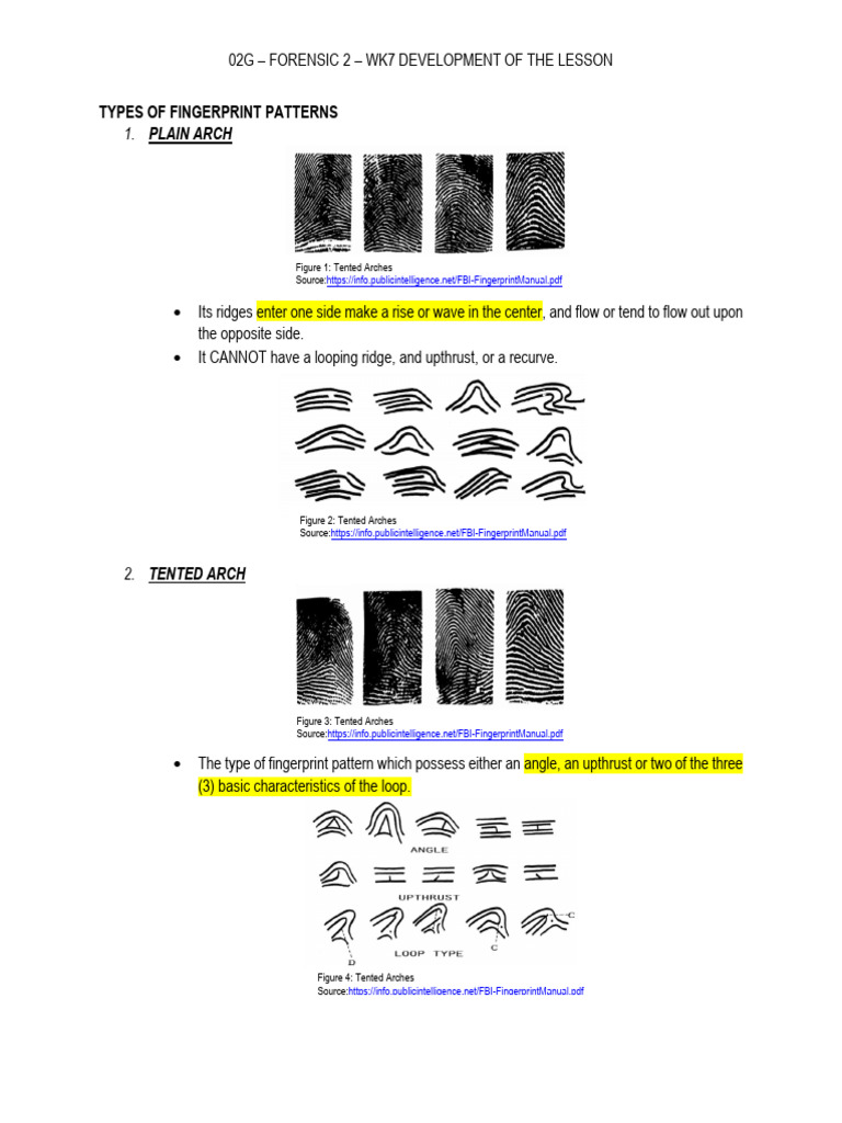02G Forensic 2 WK7 Development of The Lesson | PDF | Fingerprint