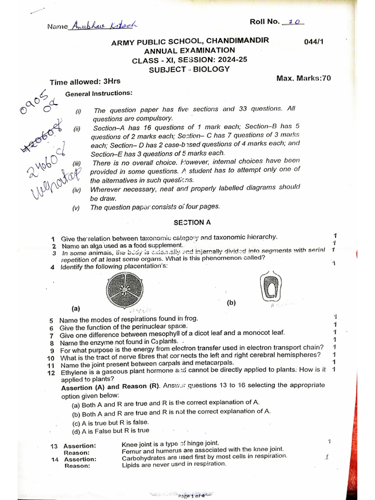 Biology Final Exam | PDF