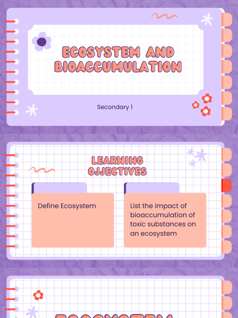 Ecosystem and Bioaccumulation Sec 1 | PDF