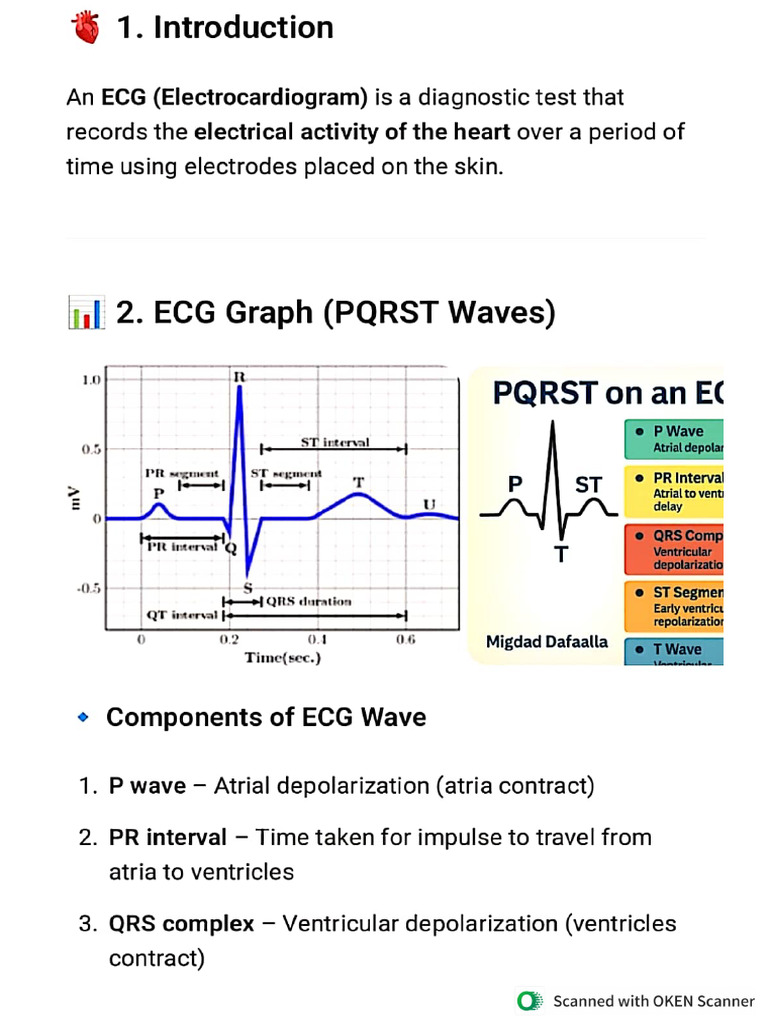 BSC (1st Sem) (ECG) | PDF