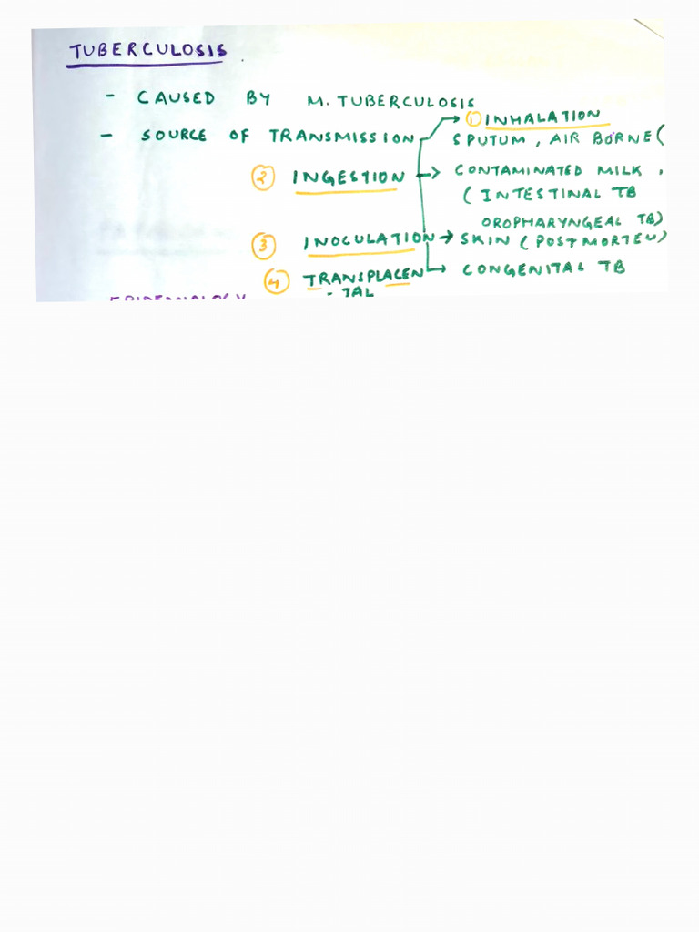 Tuberculosis Mbbs (Extra Notes) | PDF