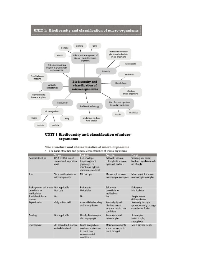 Grade 11 Notes Topic 1 and 2 | PDF