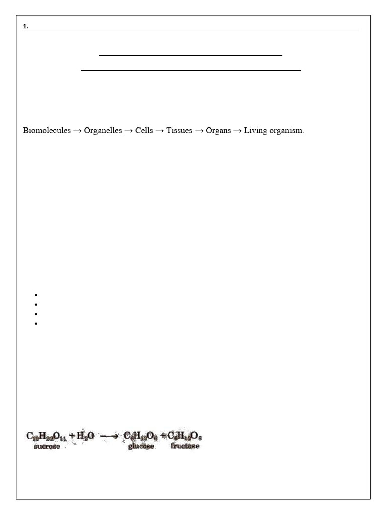 CH 14 Biomolecules Notes | PDF | Glucose | Rna