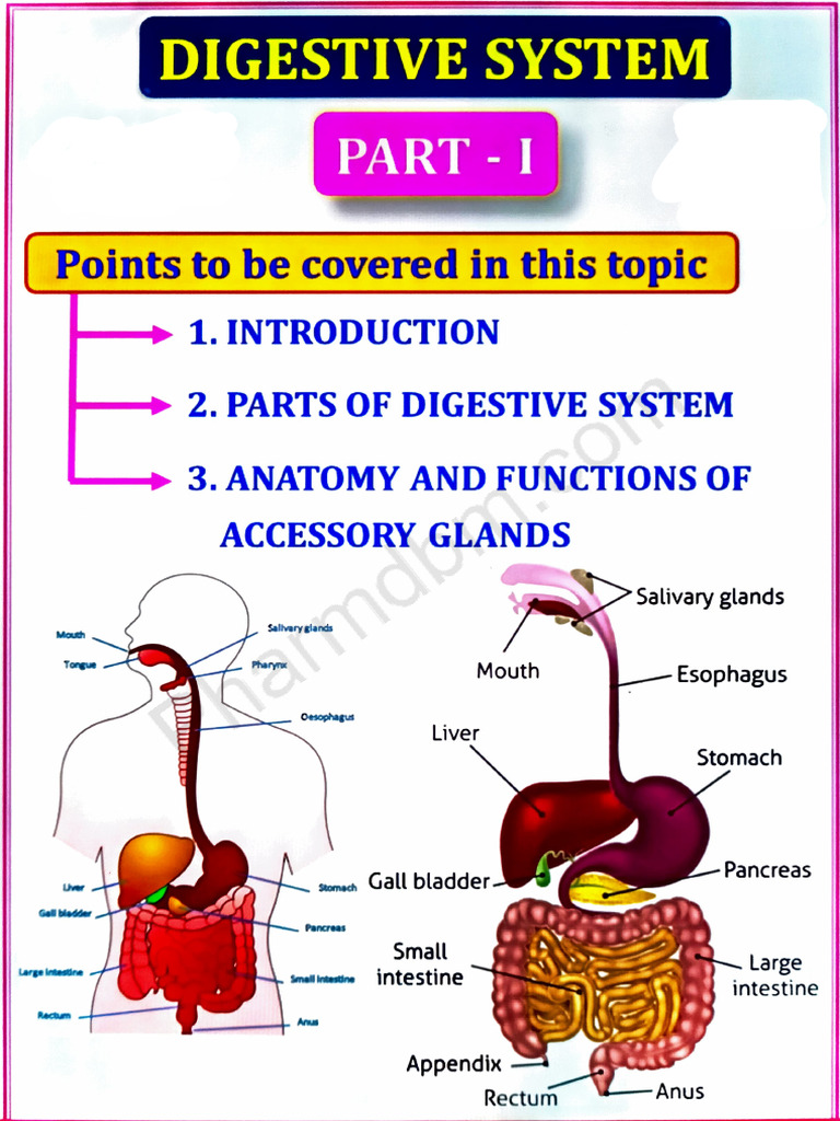 HAP II - Unit 2 | PDF