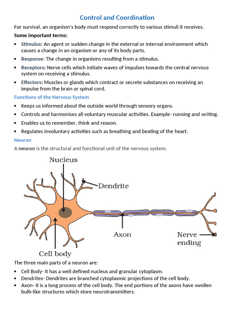 Chapter - 2 Control - and - Coordination | PDF | Central Nervous System ...