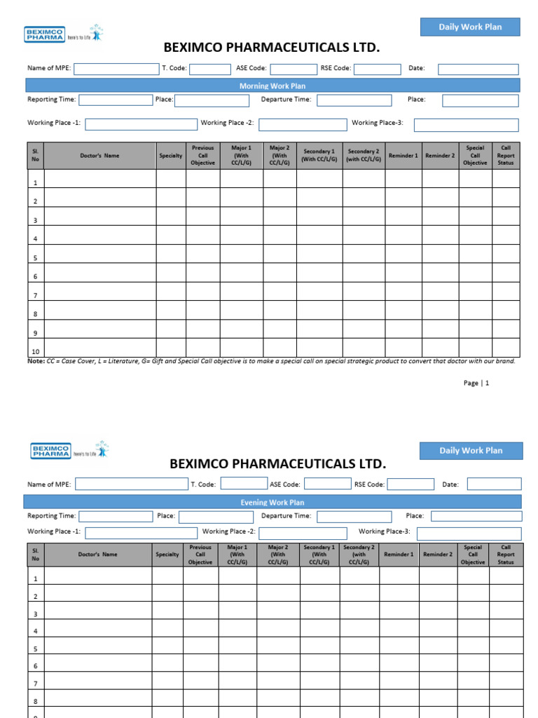 Daily Work Plan | PDF