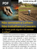 Não semeiam e Colhem, Não trabalham e Crescem - Lucas 12:24-28