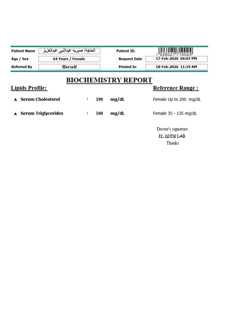 Ms Data Report | PDF