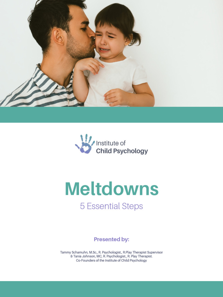 Meltdowns Webinar Workbook | PDF | Emotions | Developmental Psychology