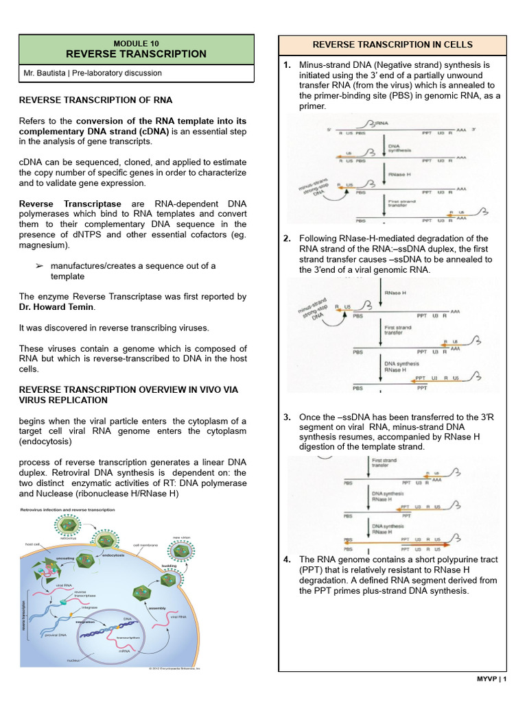 RT PCR | PDF | Reverse Transcriptase | Complementary Dna