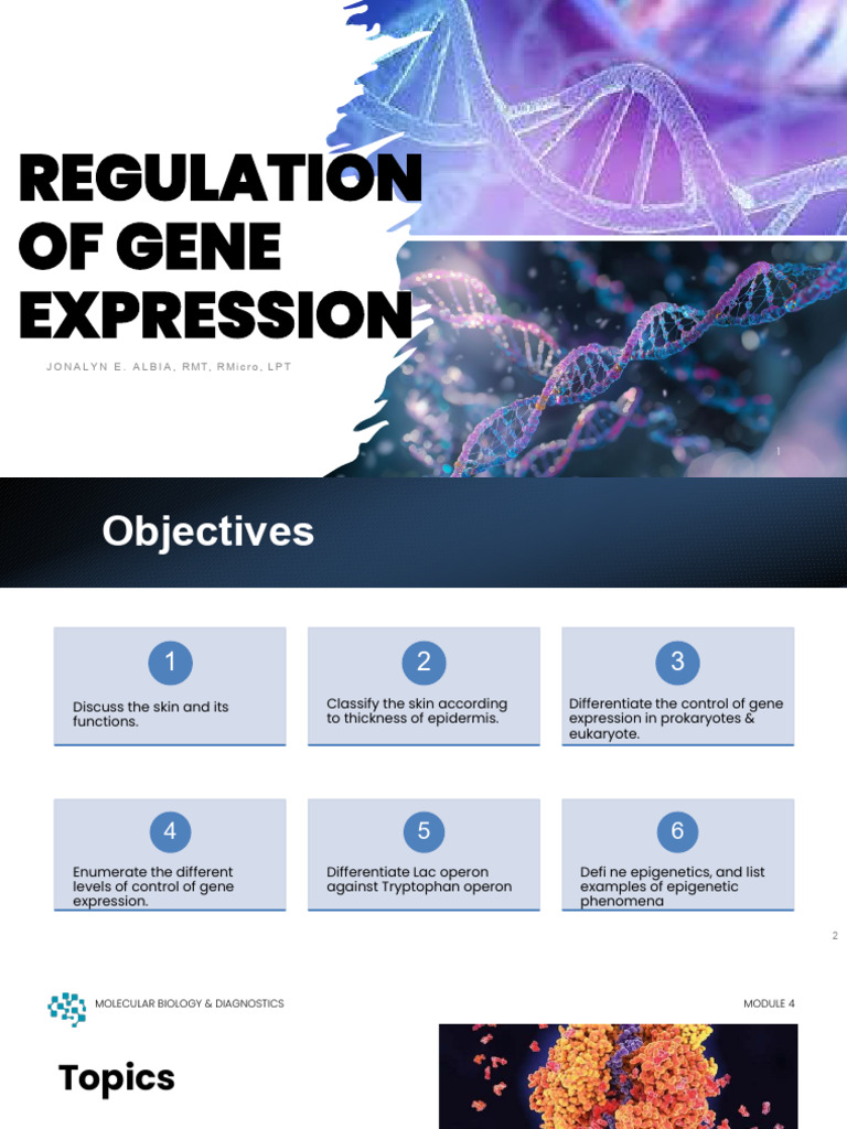 MBD - Regulation of Gene Expression | PDF | Gene | Regulation Of Gene ...