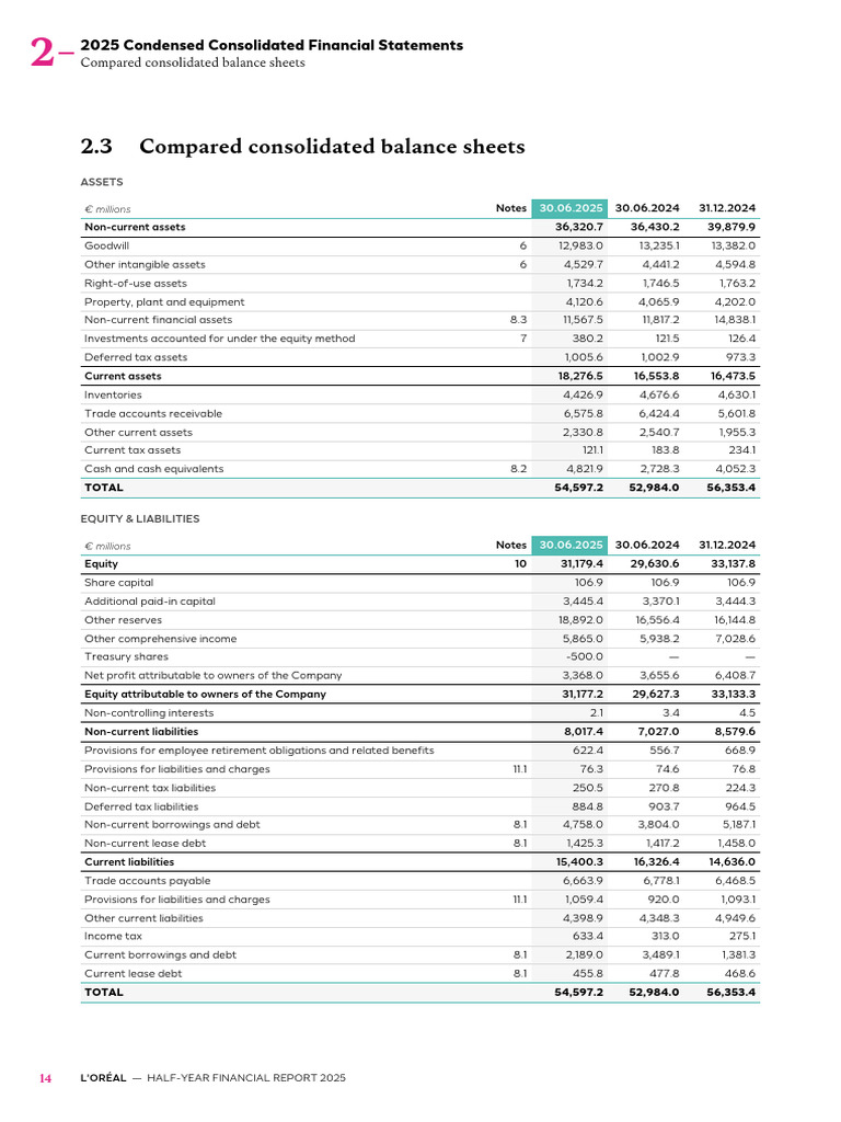 2025 Half-Year - Balance Sheet - SUPPORTING DOCUMENT 5 | PDF | Equity ...