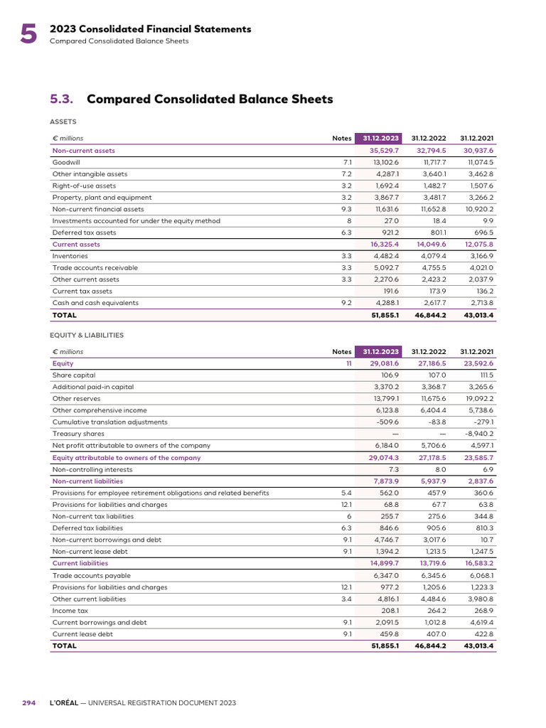 2023 - Balance Sheet - Supporting Document 3 | PDF | Equity (Finance ...
