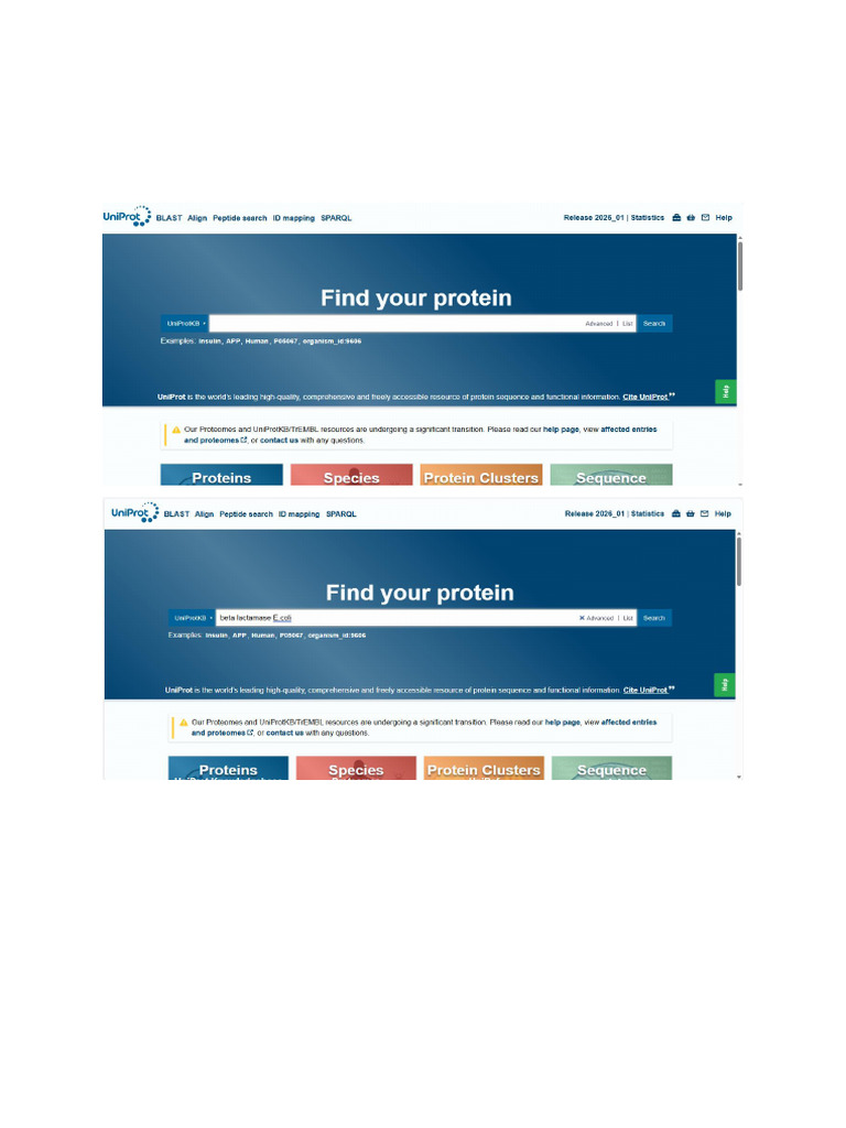 Alpha Fold Practical Workflow | PDF