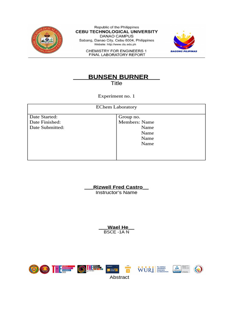 Final Report Format | PDF
