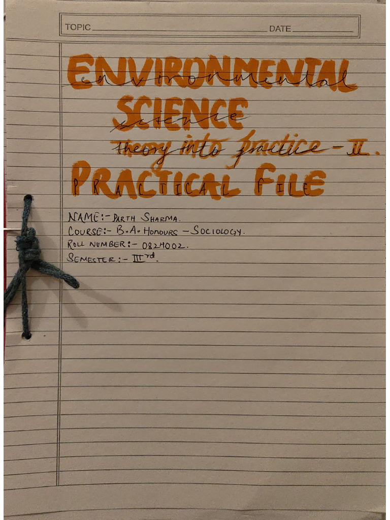 EVS Practical File | PDF