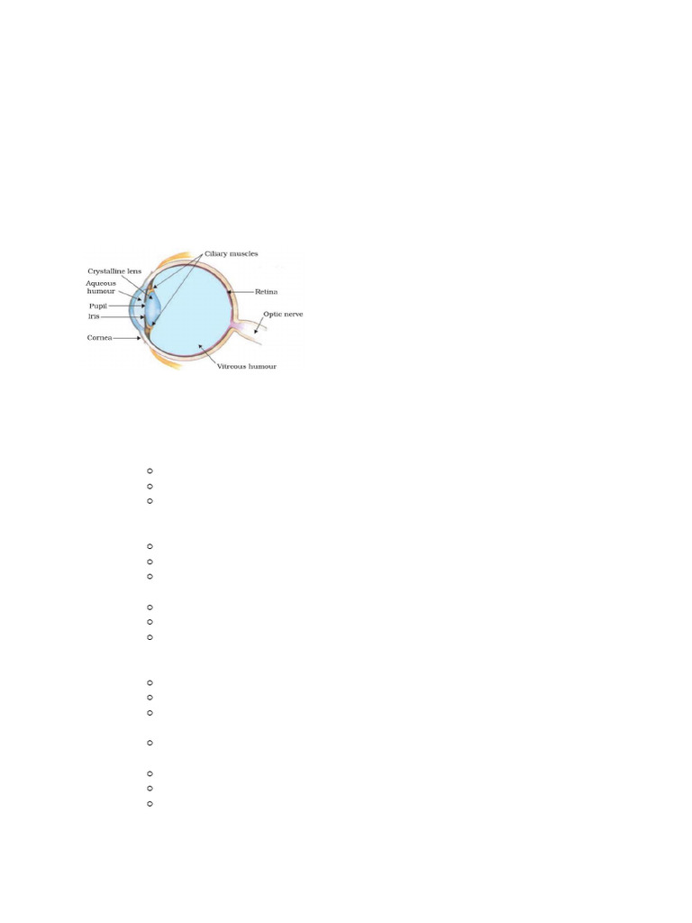 Human Eye-1 | PDF | Eye | Human Eye