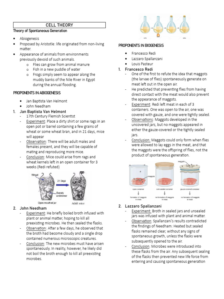 Genbio 1stqtr Reviewer | PDF | Mitosis | Endoplasmic Reticulum