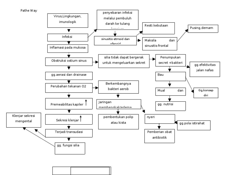 Pathway Sinusitis